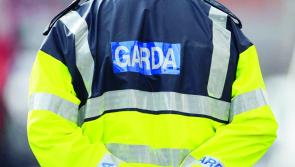Waterford gardaí appealing for witnesses after elderly person robbed in their home