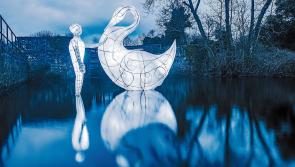 Longford Lights Festival up for award