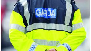 Two arrested after seizure of cannabis and ecstasy in Carlow valued at over €200,000