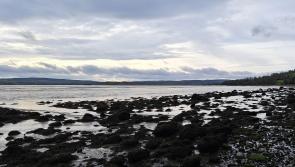 Weather forecast: A cold start will lead to sunny spells later