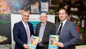 Tourism and Economic strategy and action plan for Drumshanbo and Leitrim Village