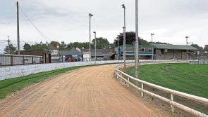 Former Longford greyhound track could see new pump track installed
