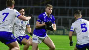 Laois hoping to bounce back to winning ways against Waterford
