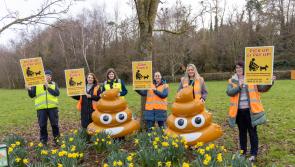 Just three dog fouling fines issued in Laois last year
