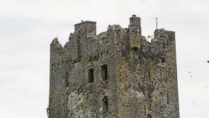 This forgotten jewel 'was absolutely central' to the defence of Kilkenny