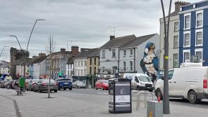 Thurles Local Election candidate calls for change of  government