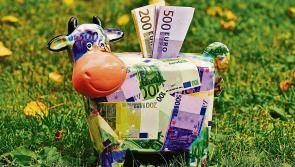 Advice for Longford farmers on BISS, CRISS and ECO Schemes
