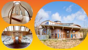 Property Watch: Modern Laois Dreamfields mansion set to go under the hammer