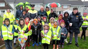 IN PICTURES: Waterford mayor launches Jubilee Memorial Community Garden 