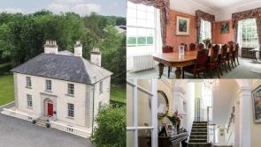 PROPERTY WATCH: Magnificent Georgian mansion near Carlow Town for sale