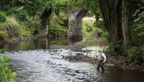 Public consultation for angling and fisheries improvement in Lough Foyle launched
