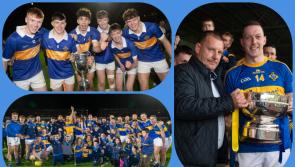 Laois hurling club set to celebrate a record-breaking year