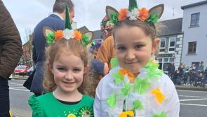 Abbeyfeale rounds off a day of celebration in Limerick on St Patrick's Day