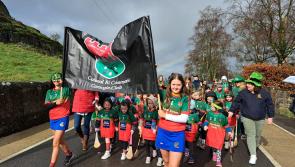 WOW: The St Patrick's Day Parade in Cashel looked amazing