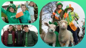 In pictures:  Laois community rises to the St Patrick's Day parade challenge