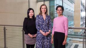 Accountancy apprenticeship programme to create 150 jobs in Ireland this year