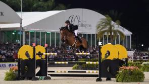 Offaly man third in $226,000 Wellington event 