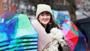 Farrell Furniture in Ardee shortlisted for Irish Business Design Challenge