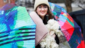 Kilkenny business shortlisted the Irish Business Design Challenge