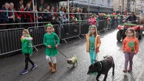 French and English visitors enjoyed St Patrick's Day Parade in Tipperary's largest town