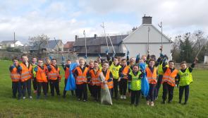 'Let's Team up To Clean Up' under way in Kilkenny