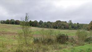 Legal delays holding up the development of community park in Stranorlar