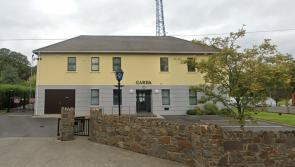 Purse thief strikes in Kilkenny