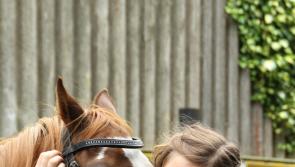 Horse riding school proposed for North Kildare, planning permission documents show