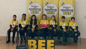 The champion speller  of Laois is crowned