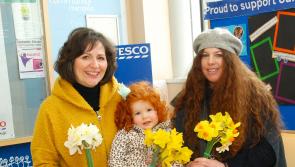 Volunteers and helpers needed in Midlands town for Daffodil Day 