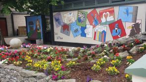 Dunleer Tidy Towns to host AGM in the Market House