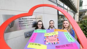 Twenty lives a year in Louth could be saved if clean air guidelines adopted new report claims