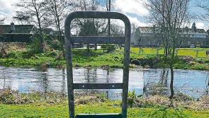 Warnock expresses ire over lingering dog fouling concerns along Longford walkways  
