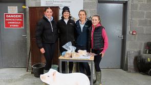 Longford Ag Science students get a taste of farm life