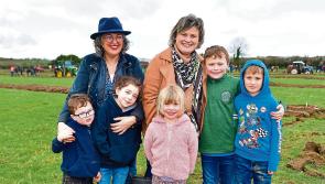 Huge crowds bask in glory of Co Longford Ploughing Championships