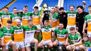 Promotion back to Leinster Senior Hurling Championship would serve Offaly very well