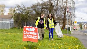 In Pictures: Out and about during Team Limerick Clean-up 8