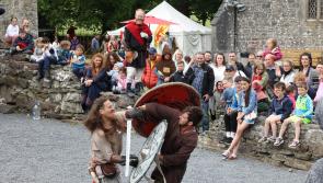 Vikings and athletes invited to Laois village fest
