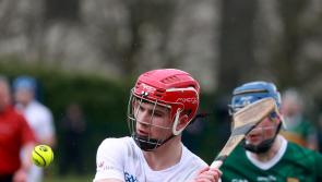 U20 Leinster Hurling: Kildare defeat Kerry
