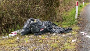Dismay at dumping in Leitrim