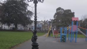 Roscrea’s Glebe Park users will finally ‘see the light’ - Lee