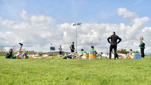 Hawkfield venue sets a “precedent” for other counties – Offaly hurling manager
