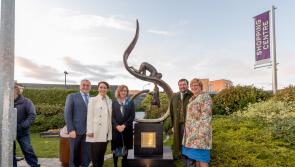 Business to Arts Awards calls 2023 For Kilkenny entries