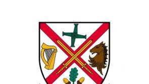 New connection works to take place on Naas Road in Newbridge&mdash; Kildare County Council 