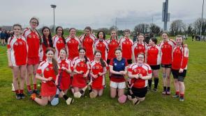 Darver plays host to five teams for the Louth Camogie Feile 