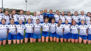 Waterford minor camogie team produce impressive comeback to confirm semi-final place