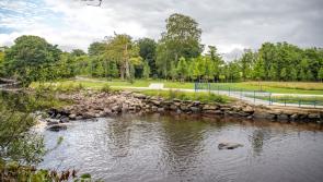 Dog owners urged to keep dogs under control in Buncrana's Swan Park