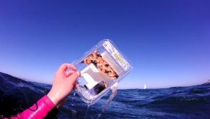 Clean Coasts launches Enjoy and Protect campaign in Louth to mark Earth Day