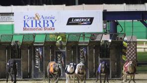 Plenty of Tipperary interest in the &euro;80,000 decider tonight at Limerick Greyhound Stadium