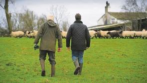 Longford farmers invited to regional farm succession and inheritance meetings
